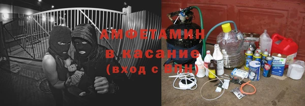 ГАЛЛЮЦИНОГЕННЫЕ ГРИБЫ Бородино