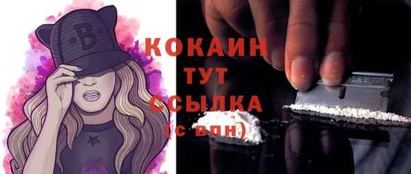 ГАЛЛЮЦИНОГЕННЫЕ ГРИБЫ Бородино