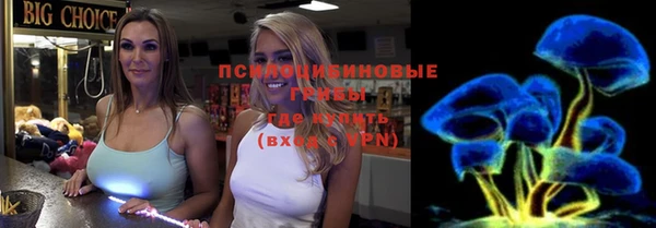 PSILOCYBIN Бугульма