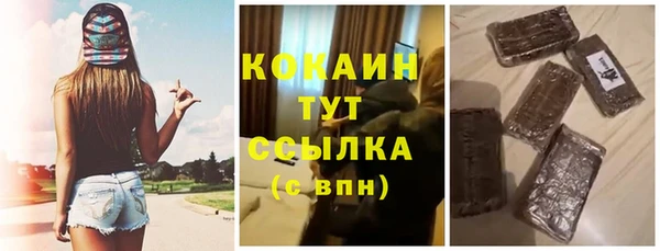 ГАЛЛЮЦИНОГЕННЫЕ ГРИБЫ Бородино
