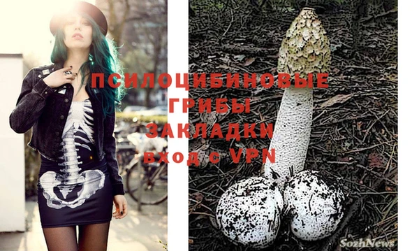 PSILOCYBIN Бугульма