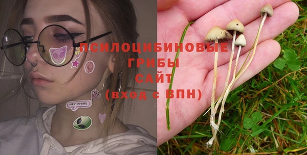 PSILOCYBIN Бугульма