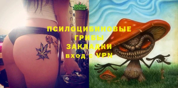 ГАЛЛЮЦИНОГЕННЫЕ ГРИБЫ Бородино