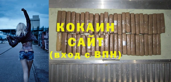 ГАЛЛЮЦИНОГЕННЫЕ ГРИБЫ Бородино