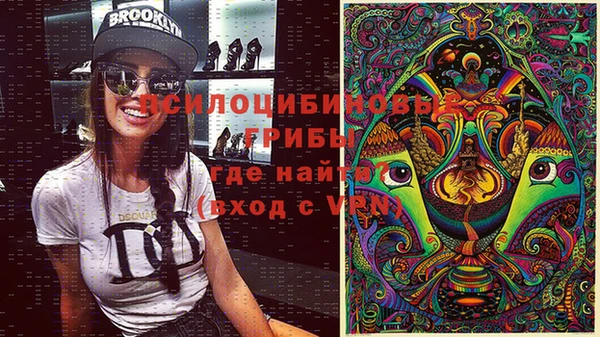 ГАЛЛЮЦИНОГЕННЫЕ ГРИБЫ Бородино